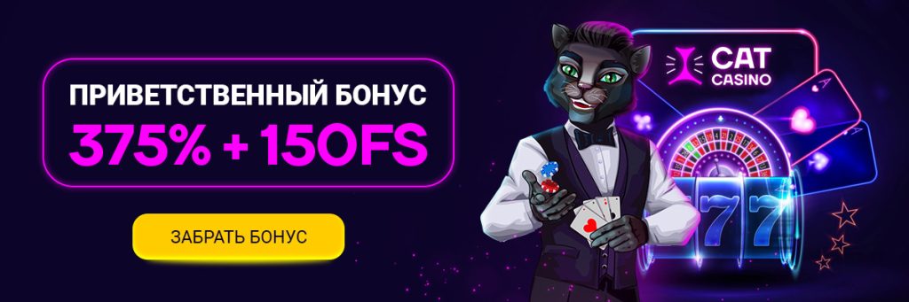 Кэт казино